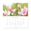 2025 Desk Calendar - Hidden Garden