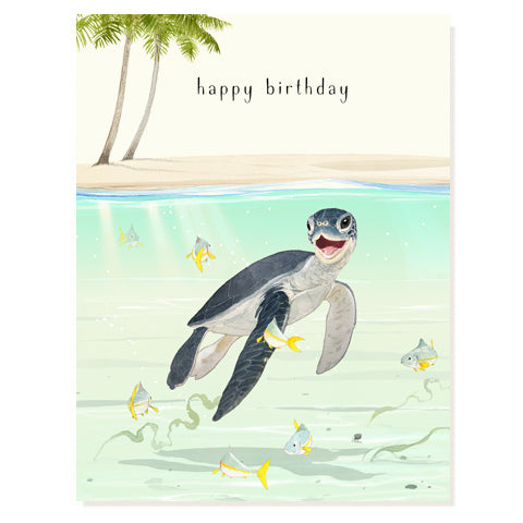 Baby Sea Turtle - Occasion Card by Felix Doolittle – Felix